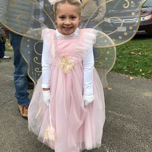 Fairy Princess Costume